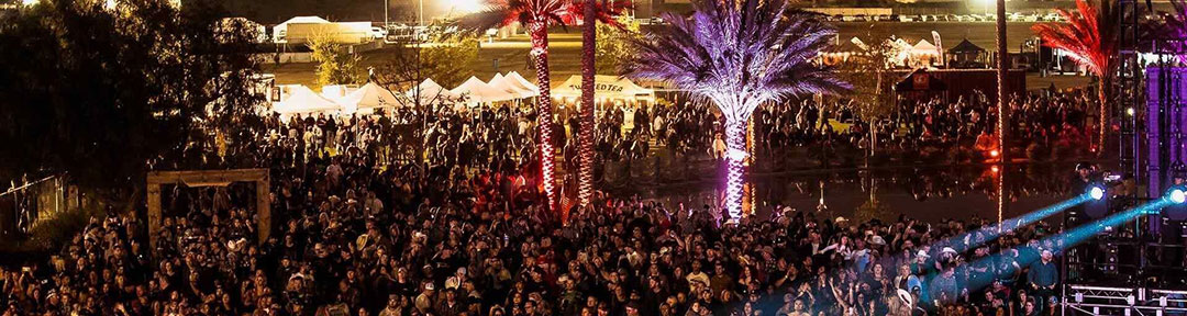 Talent Buying Pro: A secret to successful Fairs and Festivals